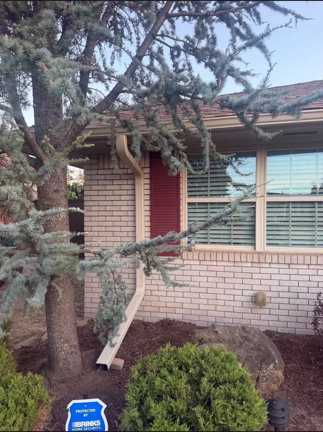 New gutter and downspout on a brick home beneath a cedar